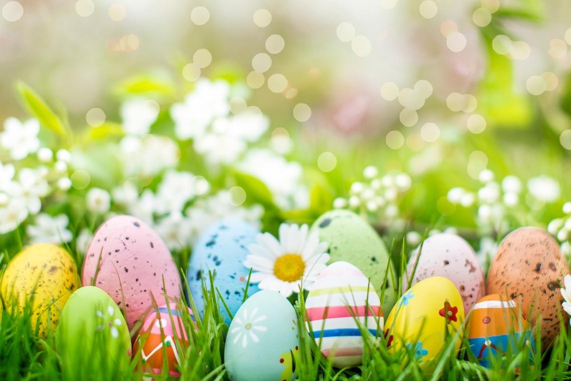 Nahaufnahme von rosa Blüten eines Baumes vor blauem Himmel