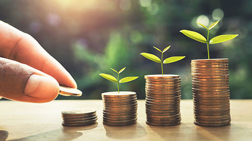 Münzstapel unterschiedlicher Höhe, an der Spitze befinden sich jeweils wachsende Pflanzen.