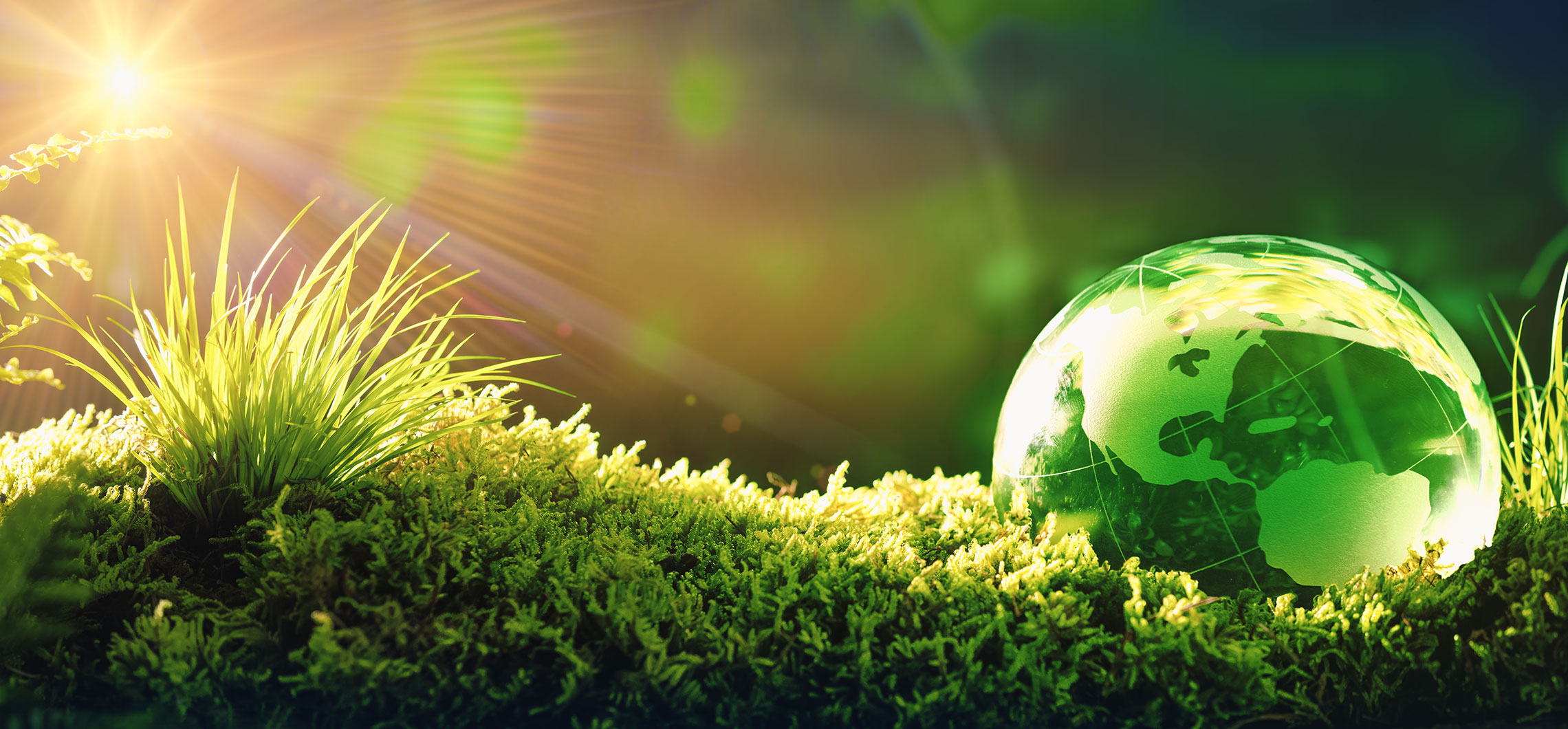 Ein Symboldbild. Die Erdkugel liegt als grüner Globus auf einer Wiese.