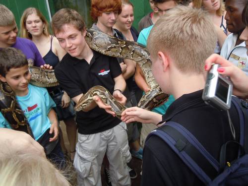 Mehrere Kinder halten gemeinsam eine große Schlange.