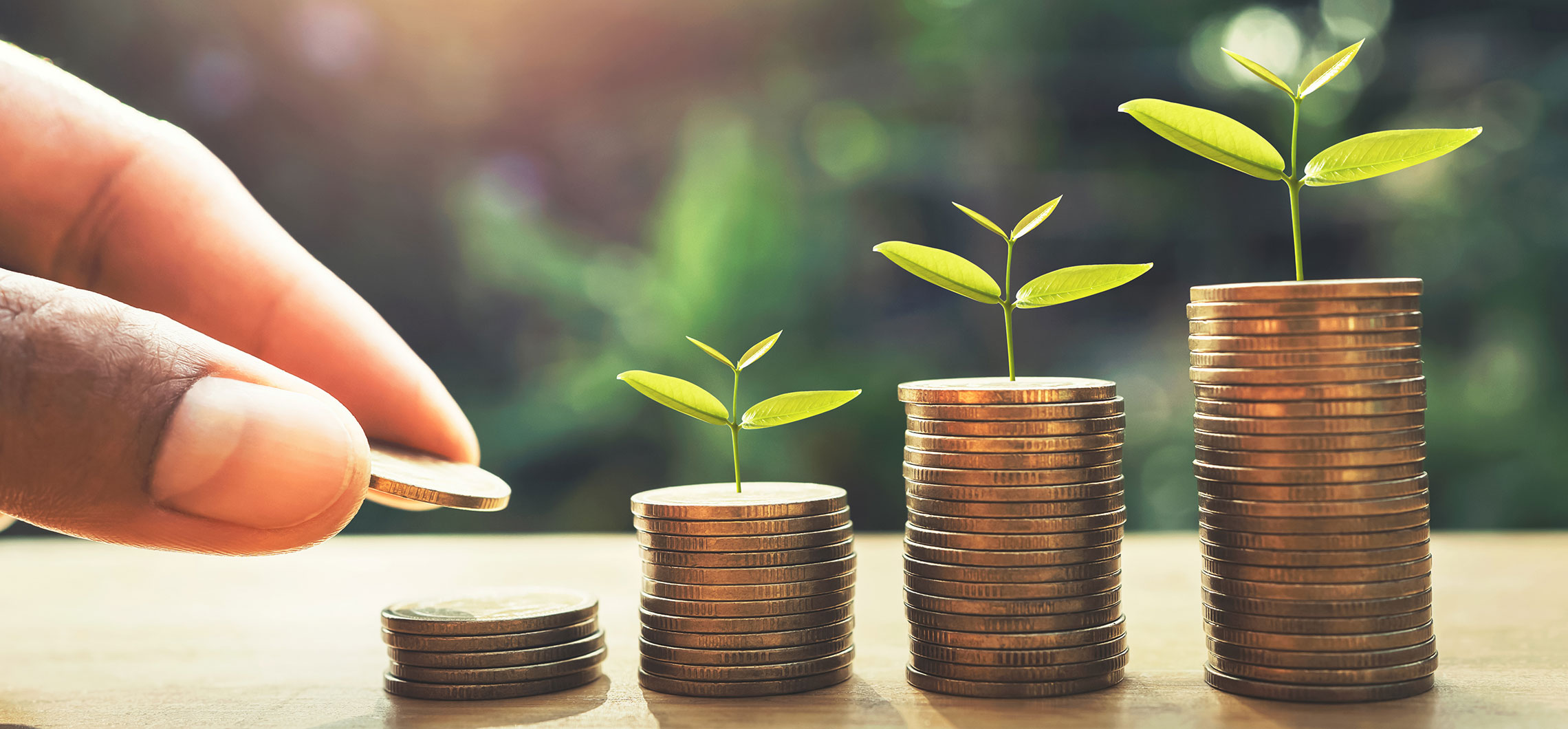 Münzstapel unterschiedlicher Höhe, an der Spitze befinden sich jeweils wachsende Pflanzen.