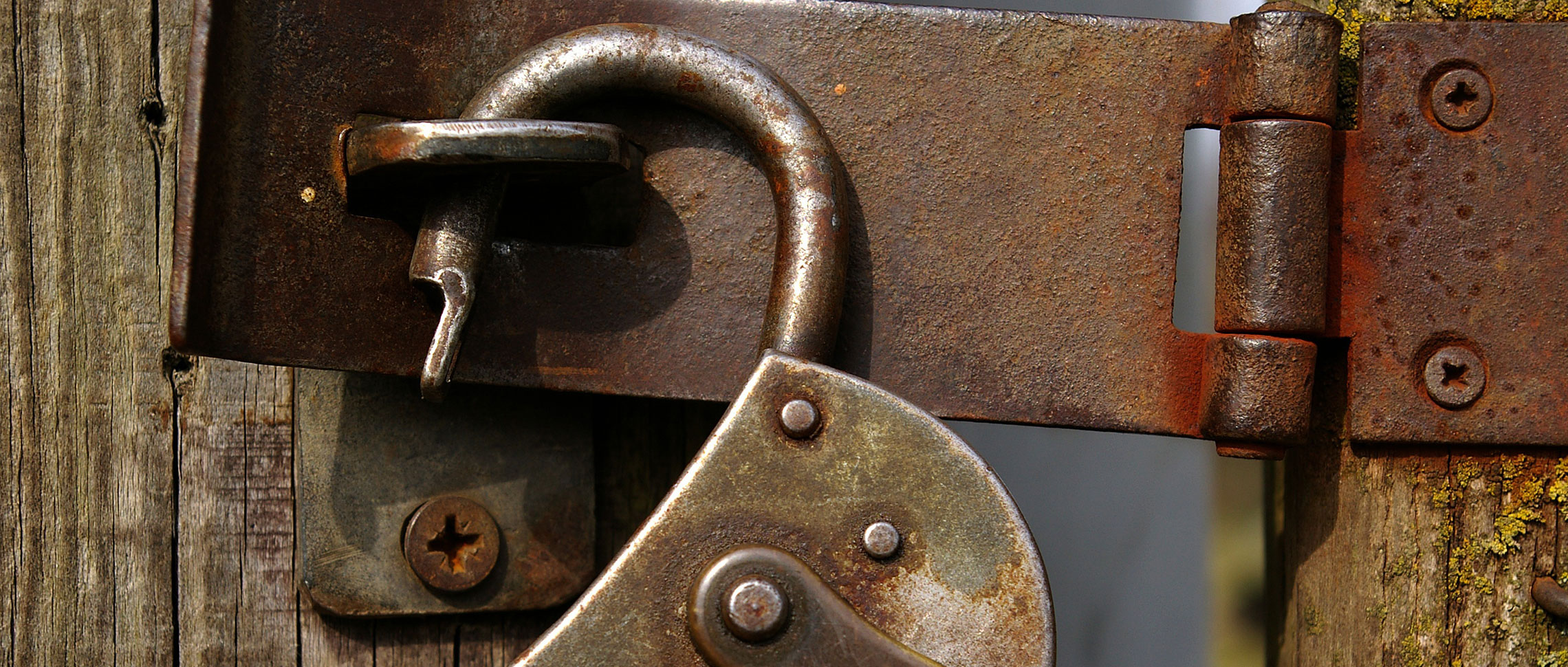 Ein offenes Vorhängeschloss an einer Holztür