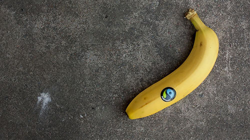 Eine einzelne Banana mit einem Fairtrade-Aufkleber