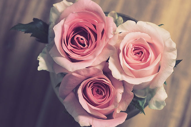 Ein Strauß aus drei Rosen von oben betrachtet.