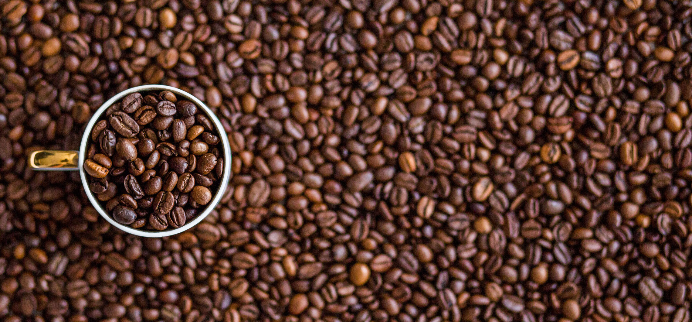 Eine mit Kaffeebohnen gefüllte Tasse steht auf vielen Kaffeebohnen